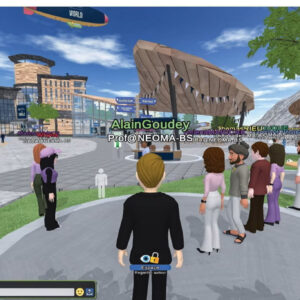 Business schools explore teaching in the metaverse